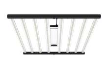 Load image into Gallery viewer, Tarantula Torch 730