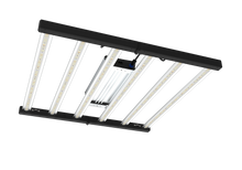 Load image into Gallery viewer, Tarantula Torch 480