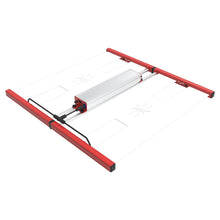 Load image into Gallery viewer, Tarantula Vulcan Magma