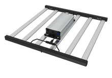 Load image into Gallery viewer, Tarantula Torch 480