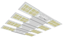 Load image into Gallery viewer, Tarantula Vulcan