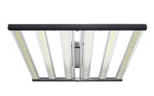 Load image into Gallery viewer, Master 6 Bloom Red