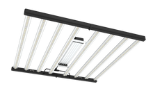 Load image into Gallery viewer, Tarantula Torch 730