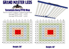 Load image into Gallery viewer, Tarantula Borg