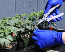 Load image into Gallery viewer, Shear Perfection Pink Platinum Stainless Trimming Shear - 2 in Straight Blades (12/Cs)